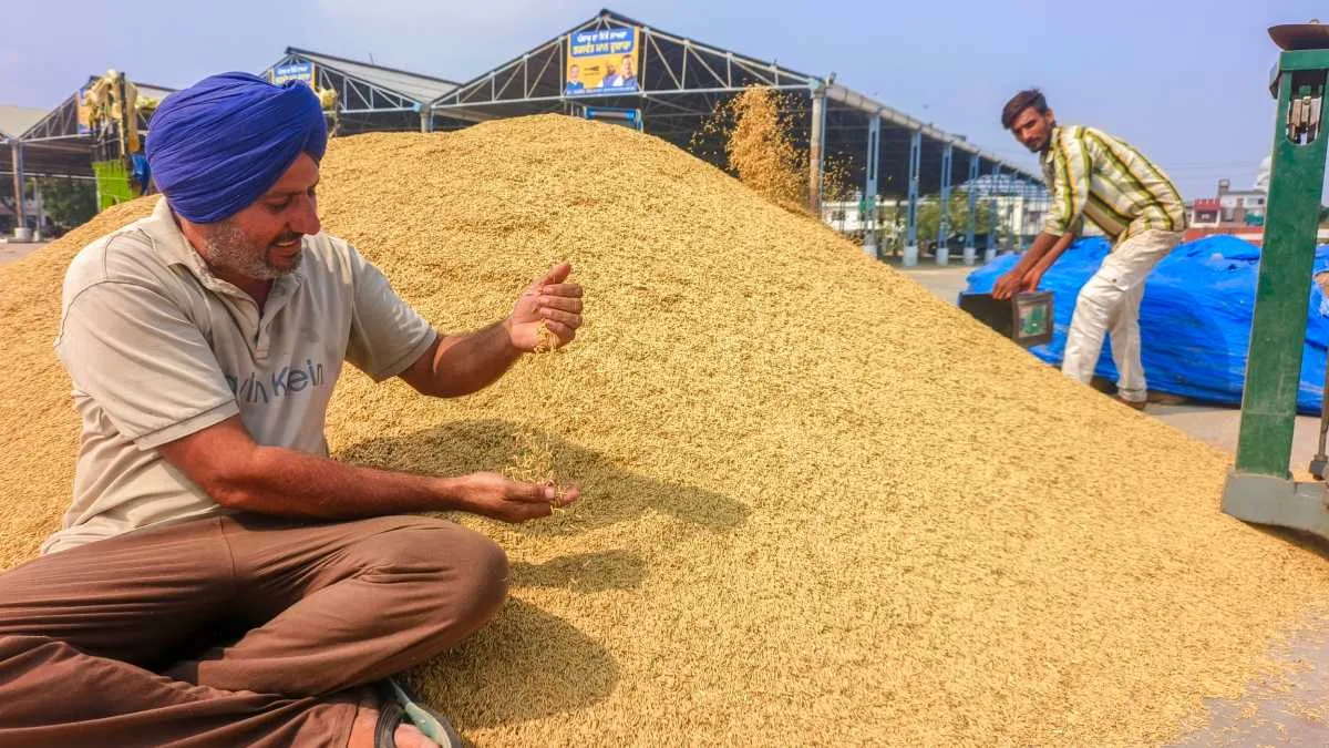 ‘এল নিনো’র জন্য রবিশস্য চাষে ধাক্কার আশঙ্কা, উৎপাদন প্রভাবিত হতে পারে বলে সতর্কবার্তা কৃষি সচিবের
