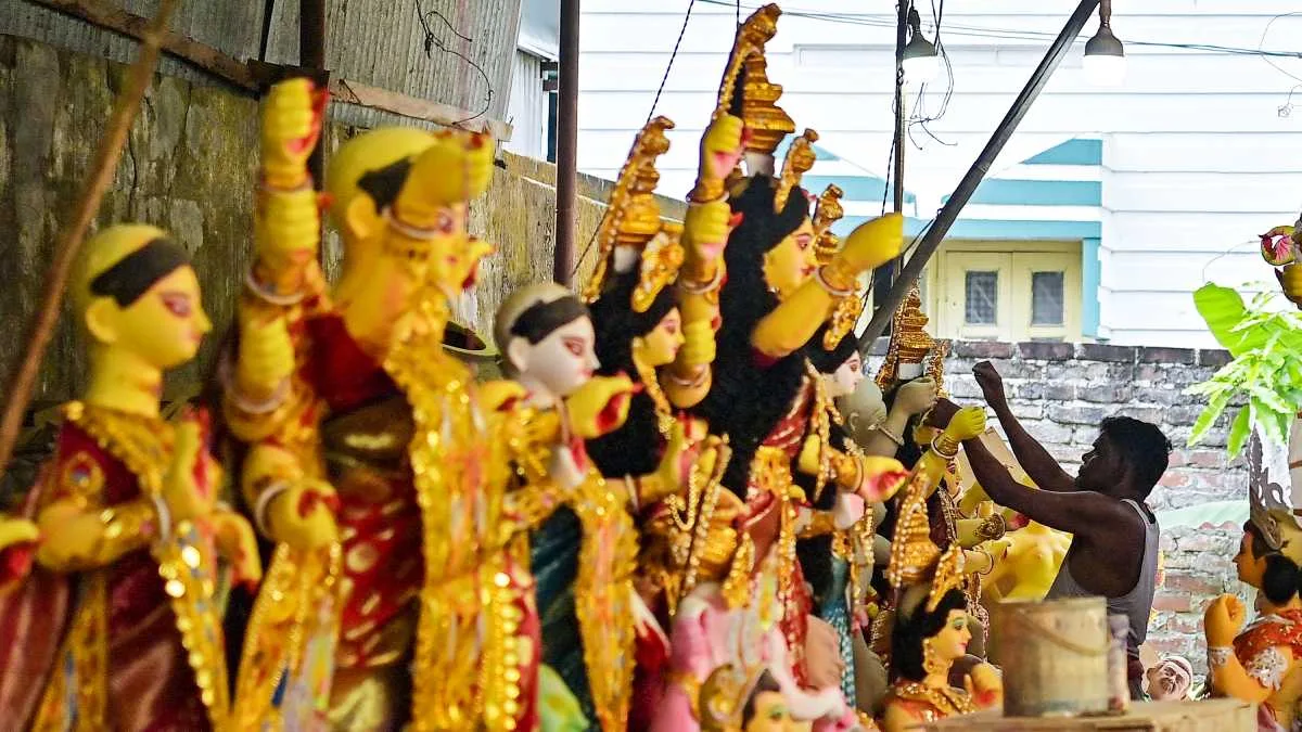 শরৎ এল রে: প্যাঁচা কেন লক্ষ্মীর বাহন? আর রাজহাঁস সরস্বতীর?